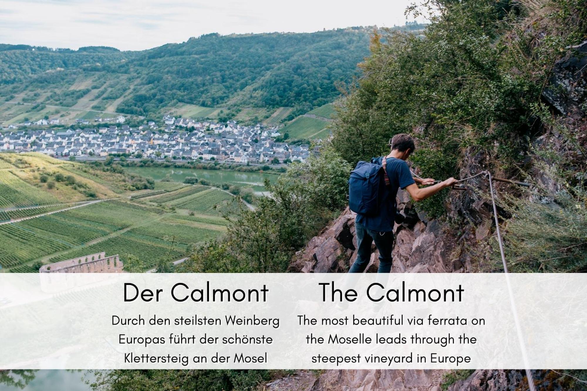 Winzerhaus Am Calmont - Raumwunder Mit Moselblick Leilighet Bremm Eksteriør bilde